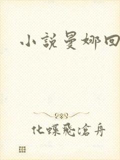 小说曼娜回忆录封面