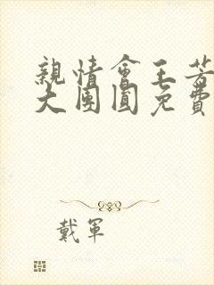 亲情会王芳高敏大团圆免费阅读