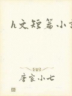 h文短篇小说