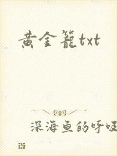 黄金笼txt