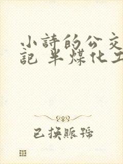 小诗的公交车日记 半煤化工封面