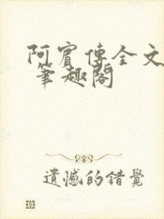 阿宾传全文阅读 笔趣阁