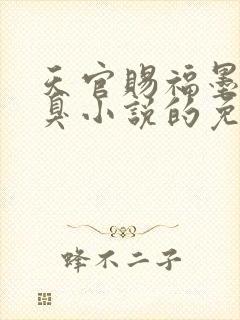 天官赐福墨香铜臭小说的免费阅读封面