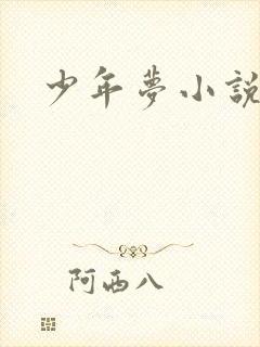 少年梦小说