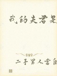 我的夫君是冥王封面