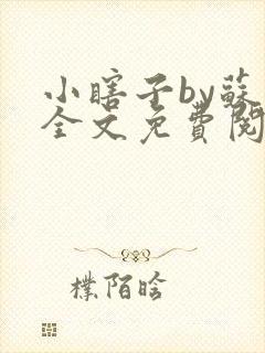 小瞎子by苏软全文免费阅读封面