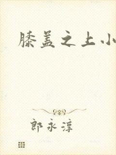 膝盖之上小说封面