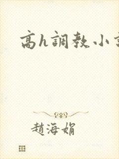 高h调教小说封面