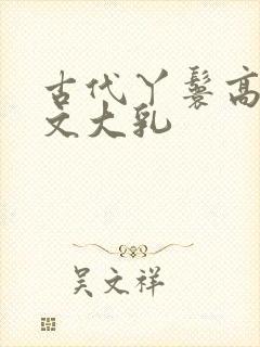 古代丫鬟高辣h文大乳