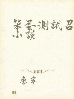 笨蛋测试召唤兽小说