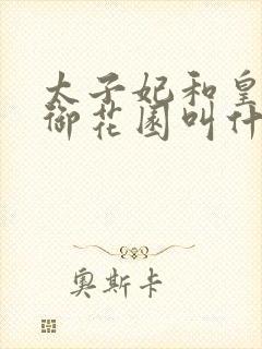 太子妃和皇帝在御花园叫什么小说