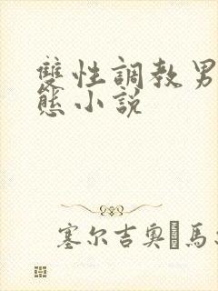 双性调教男奴变态小说封面