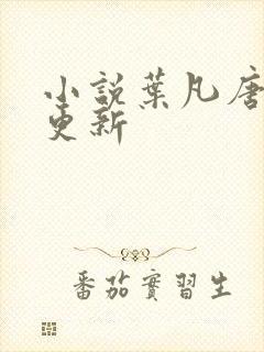 小说叶凡唐若雪更新封面