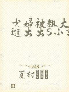 少妇被粗大猛进进出出S小说封面