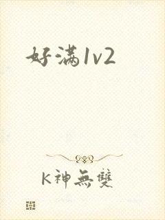 好满1v2