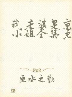 我老婆是京圈大小姐全集免费阅读