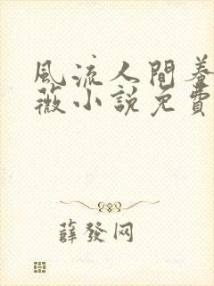 风流人间养父采薇小说免费笔趣阁封面