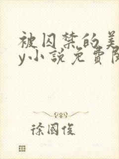 被囚禁的美人by小说免费阅读