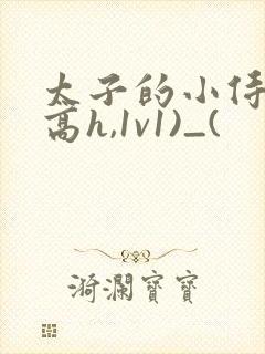 太子的小侍妾(高h,1v1)_(封面