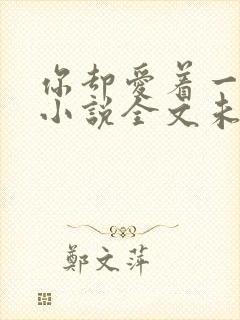 你却爱着一个他小说全文未删减免费封面