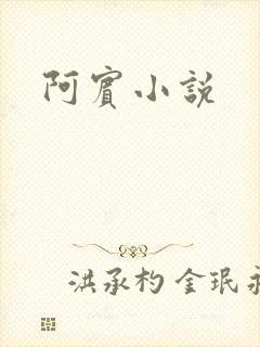 阿宾小说