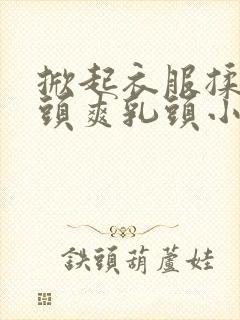 掀起衣服揉捏奶头爽乳头小说