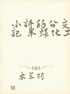 小诗的公交车日记 半煤化工封面