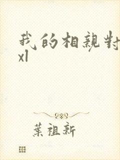 我的相亲对象是xl封面