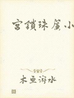 宫锁珠帘小说封面