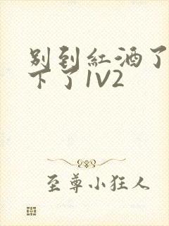 别到红酒了装不下了1V2