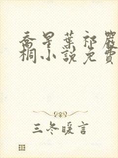 乔星叶祁严梁雨桐小说免费阅读封面