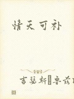 情天可补
