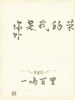 你是我的荣耀番外