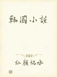 韩国小说封面