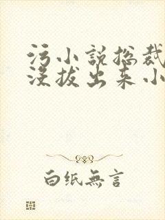 污小说总裁整夜没拔出来小说在线阅读封面