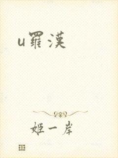 u罗汉封面