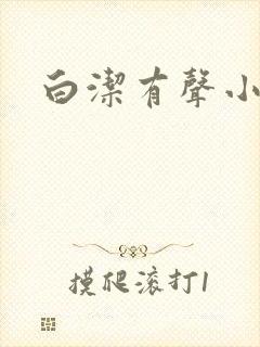 白洁有声小说封面