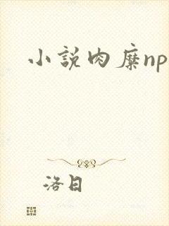 小说肉糜np