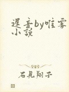 迟音by唯雾的小说