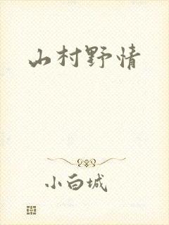 山村野情封面