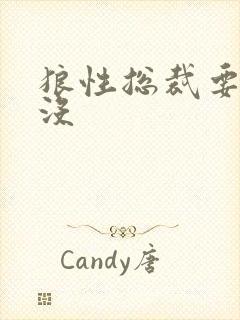 狼性总裁要够了没
