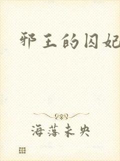 邪王的囚妃封面