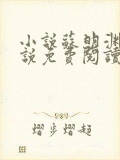 小说苏明渊的小说免费阅读无弹窗封面