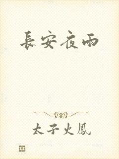 长安夜雨