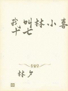 我叫林小喜今年十七