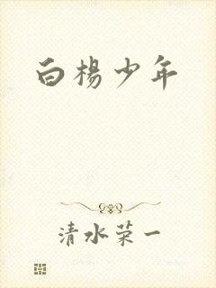 白杨少年