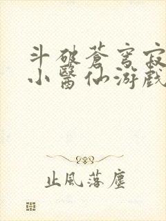 斗破苍穹寂寞的小医仙游戏世界