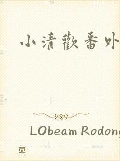 小清欢番外封面