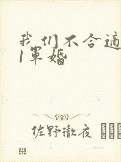我们不合适1v1军婚封面