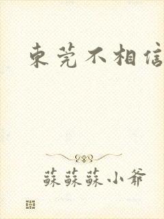 东莞不相信眼泪